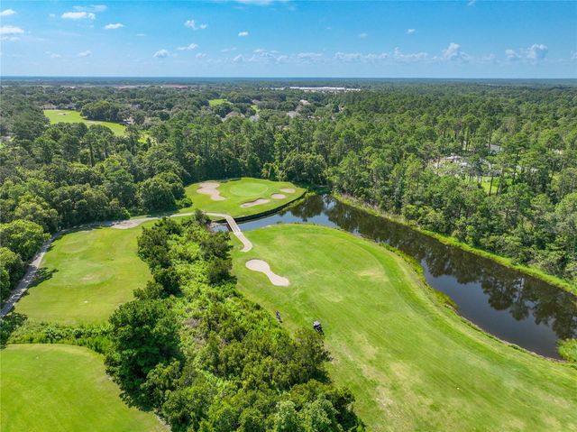 8031 ARCADIAN COURT, Mount Dora, FL 32757