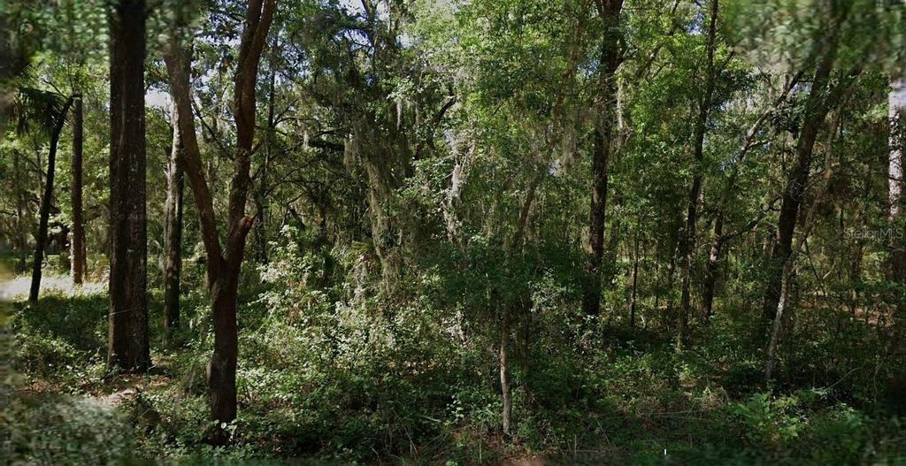 8430 W RAINBOW OAKS COURT, Crystal River, FL 34428