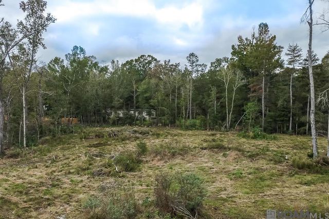 34079 Pasture 1024 Ln, Denham Springs, LA 70706