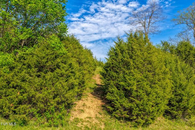 336 Cloud Creek Road, Rogersville, TN 37857