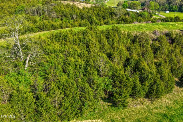 336 Cloud Creek Road, Rogersville, TN 37857