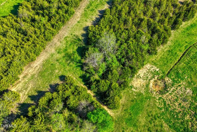 336 Cloud Creek Road, Rogersville, TN 37857