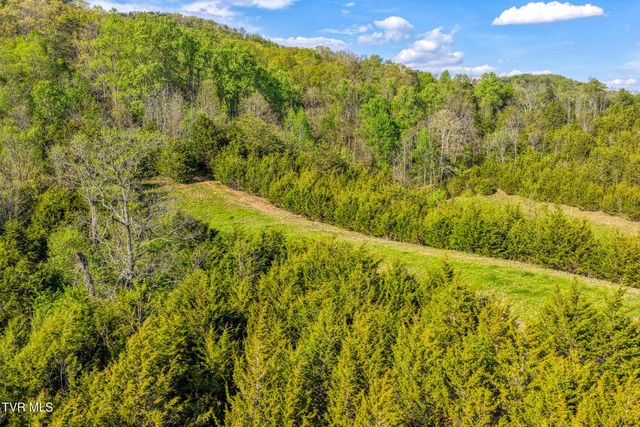 336 Cloud Creek Road, Rogersville, TN 37857