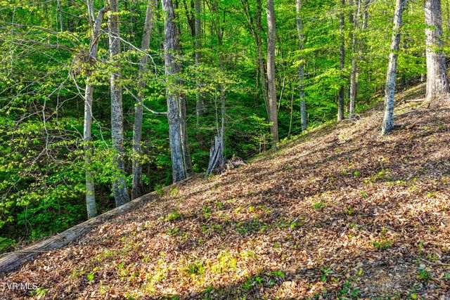 336 Cloud Creek Road, Rogersville, TN 37857