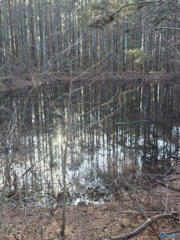 4376 Jeff Road, Toney, AL 35773