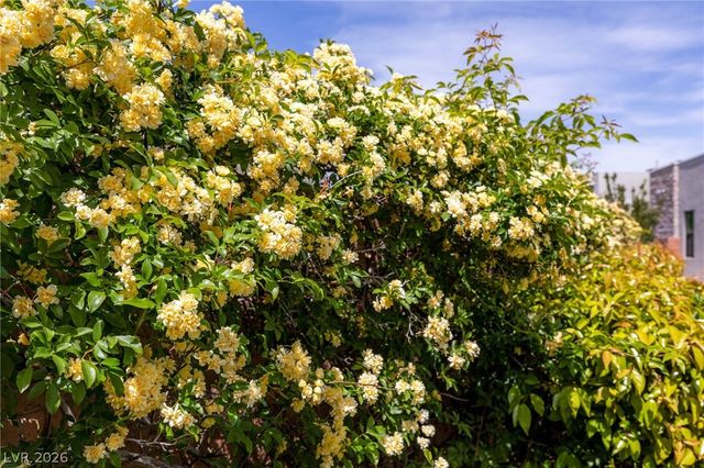 15 Gemstar Lane, Las Vegas, NV 89135