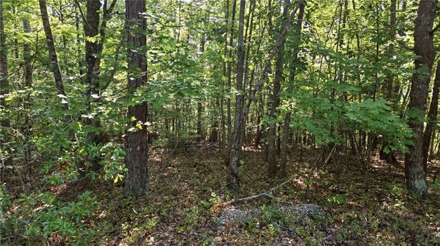 16 Sautee Woods Trail, Sautee Nacoochee, GA 30571