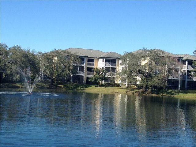 4211 CHATHAM OAK COURT 114, Tampa, FL 33624