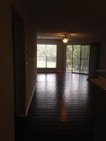 4211 CHATHAM OAK COURT 114, Tampa, FL 33624