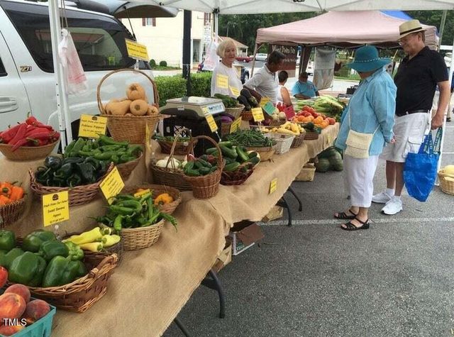 216 Trunnel Street, Holly Springs, NC 27540