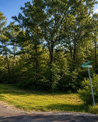 TBD Hackberry Drive, Onalaska, TX 77360