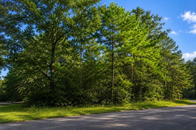 TBD Hackberry Drive, Onalaska, TX 77360
