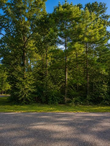 TBD Hackberry Drive, Onalaska, TX 77360