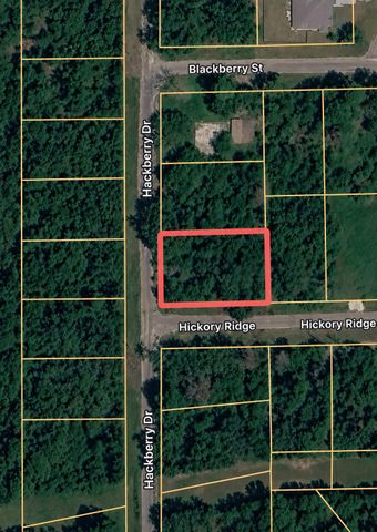 TBD Hackberry Drive, Onalaska, TX 77360