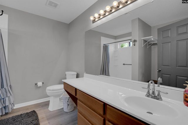 119 Silverberry Drive, Lexington, SC 29073