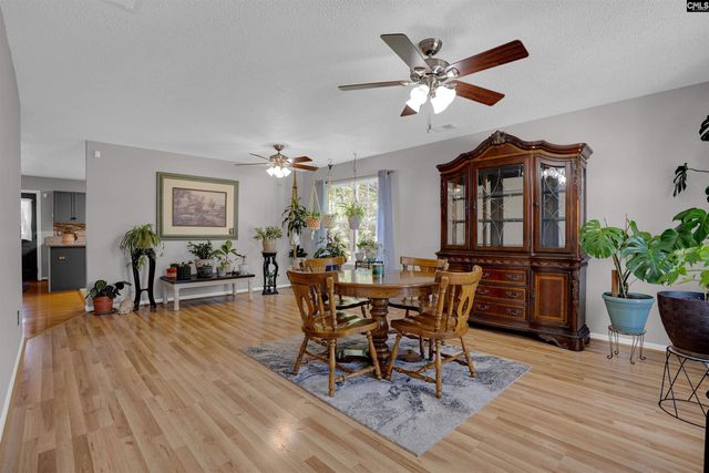 119 Silverberry Drive, Lexington, SC 29073