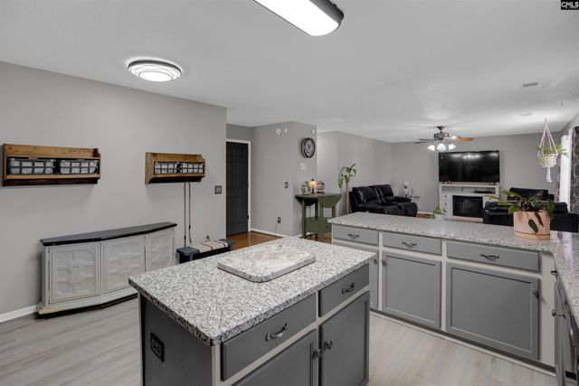 119 Silverberry Drive, Lexington, SC 29073