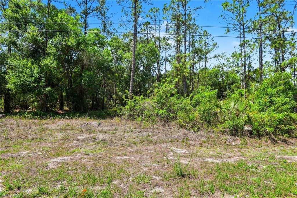 711 Wellington AVE, LEHIGH ACRES, FL 33972 — photo 3