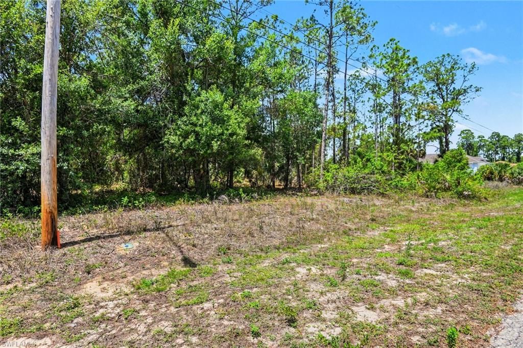711 Wellington AVE, LEHIGH ACRES, FL 33972 — photo 4
