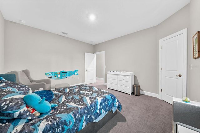 1118 LAKE HANNA DRIVE, Lutz, FL 33549