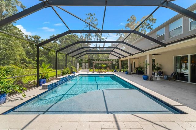 1118 LAKE HANNA DRIVE, Lutz, FL 33549