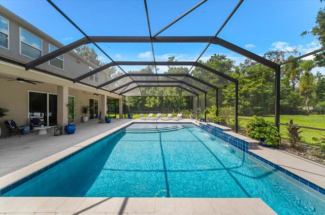 1118 LAKE HANNA DRIVE, Lutz, FL 33549