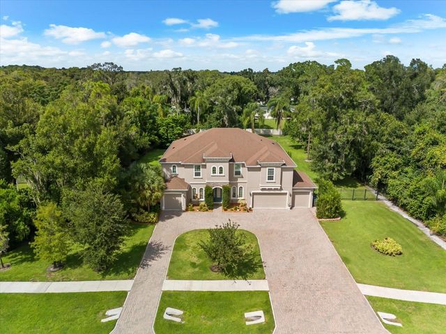 1118 LAKE HANNA DRIVE, Lutz, FL 33549