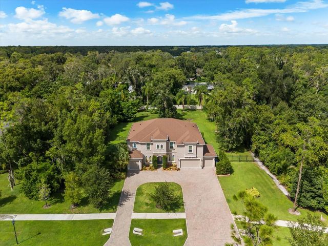 1118 LAKE HANNA DRIVE, Lutz, FL 33549