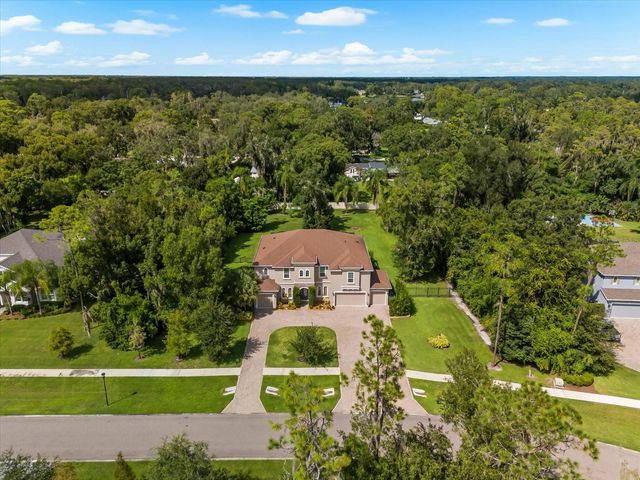 1118 LAKE HANNA DRIVE, Lutz, FL 33549