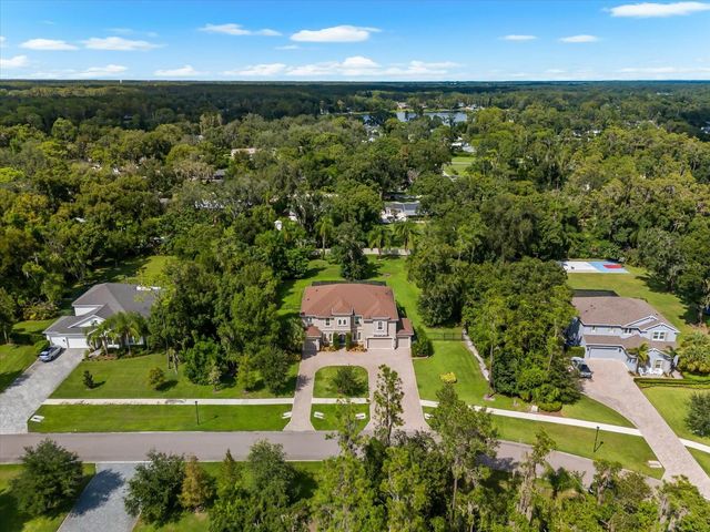 1118 LAKE HANNA DRIVE, Lutz, FL 33549