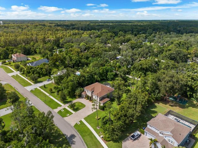 1118 LAKE HANNA DRIVE, Lutz, FL 33549