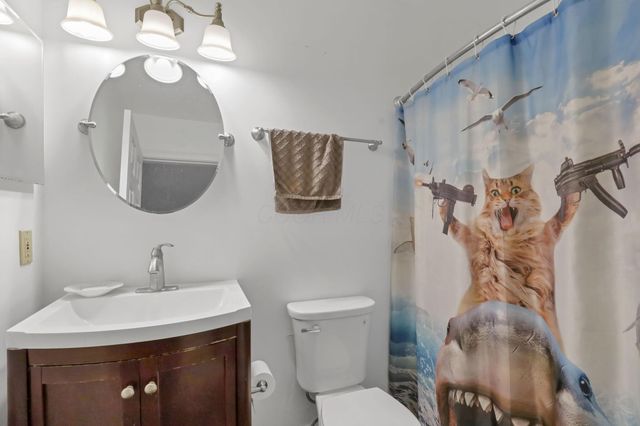 19 Spike Rush Court, Etna, OH 43062
