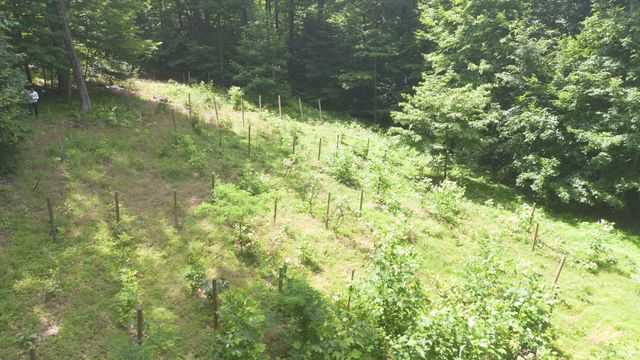 946 E Chambers Pike, Bloomington, IN 47408