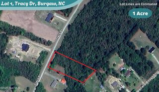 Lot 1 Tracy Drive, Burgaw, NC 28425