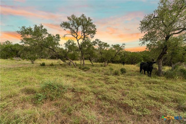Lot 35B Pr 2533, Mico, TX 78056