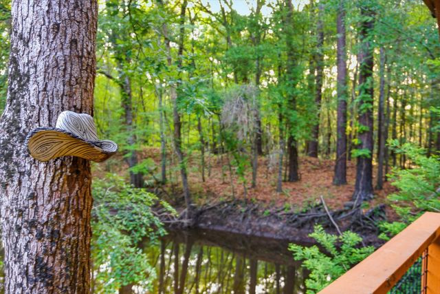 88 Turtle Court, Ridgeville, SC 29472