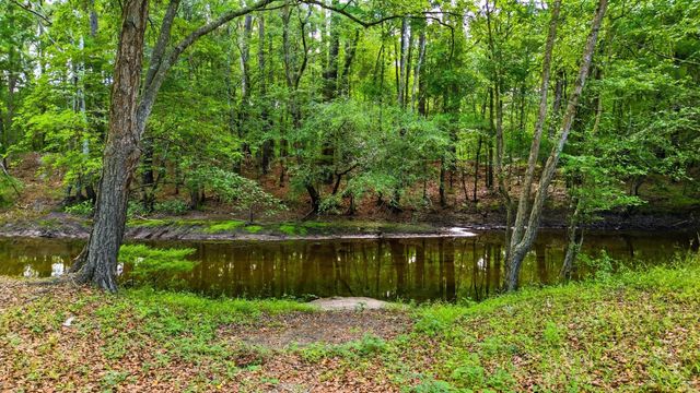 88 Turtle Court, Ridgeville, SC 29472