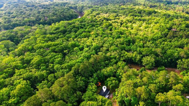 88 Turtle Court, Ridgeville, SC 29472