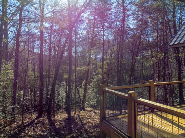 397 Kennelly Loop, Murphy, NC 28906