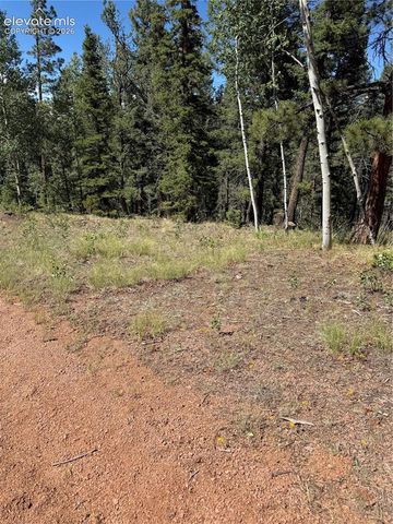 1007 Derby Drive, Cripple Creek, CO 80813