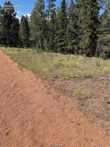 1007 Derby Drive, Cripple Creek, CO 80813