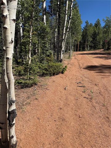 1007 Derby Drive, Cripple Creek, CO 80813