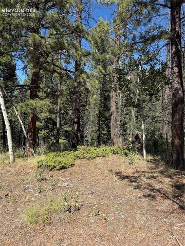 1007 Derby Drive, Cripple Creek, CO 80813