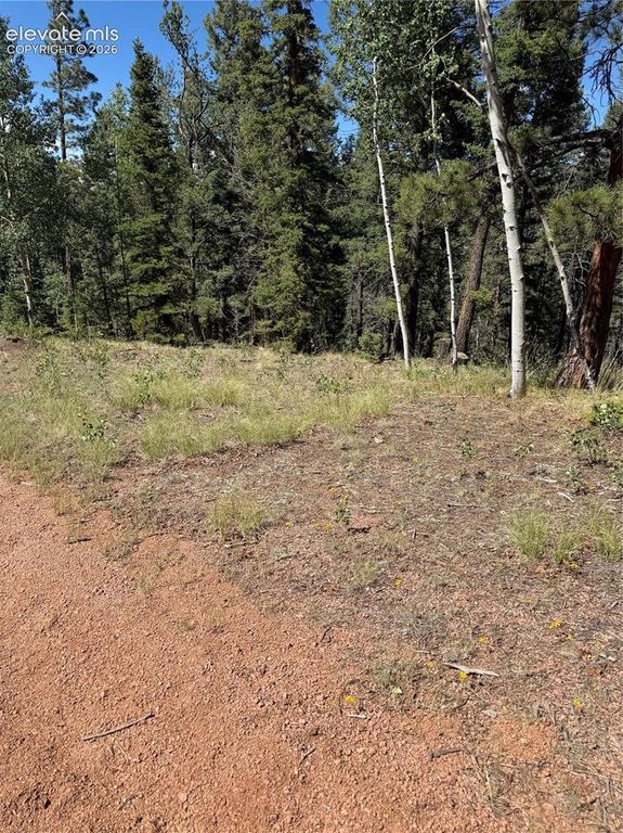 1007 Derby Drive, Cripple Creek, CO 80813 — photo 2