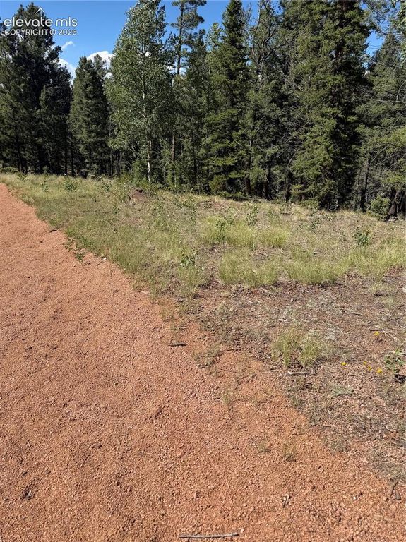 1007 Derby Drive, Cripple Creek, CO 80813 — photo 3