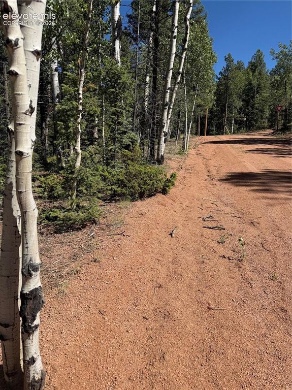 1007 Derby Drive, Cripple Creek, CO 80813 — photo 4