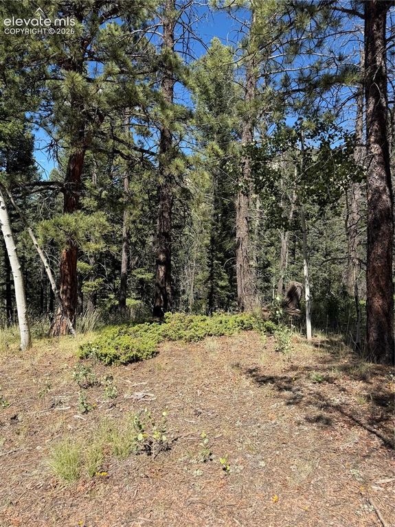 1007 Derby Drive, Cripple Creek, CO 80813 — photo 5