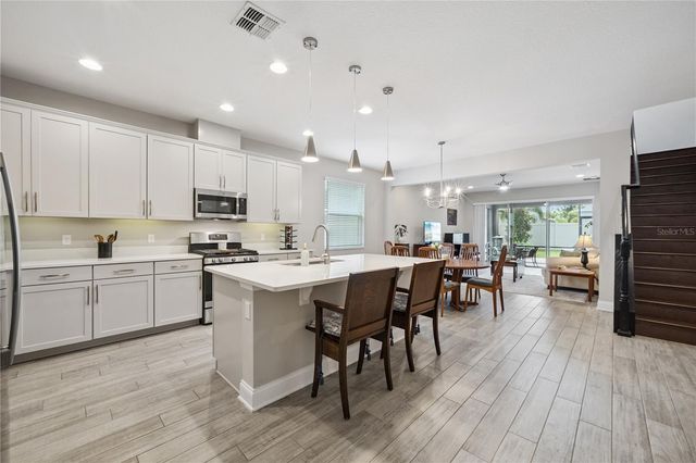 1143 HULL ISLAND DRIVE, Oakland, FL 34787