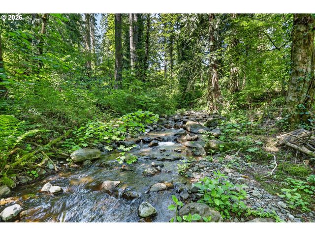 112 CARSON CREEK Rd, Carson, WA 98610