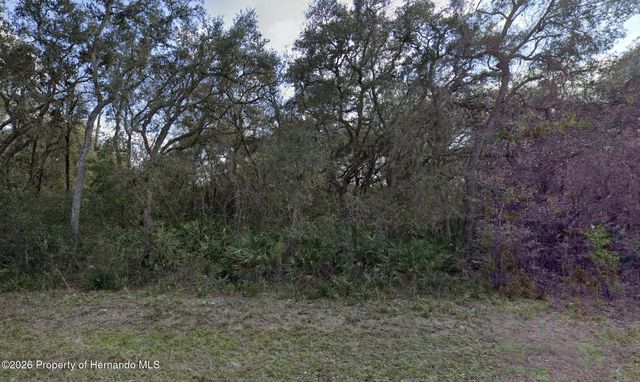 7149 Alloy Street, Webster, FL 33597